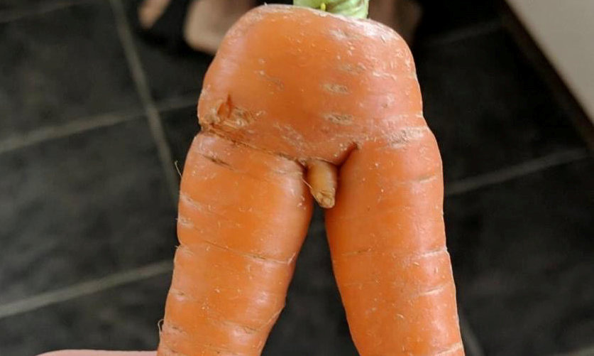 The pair made the discovery two years after finding a very happy carrot in another delivery
