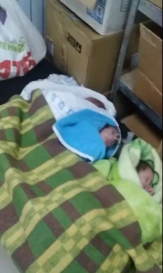 The makeshift shelter for the newborns