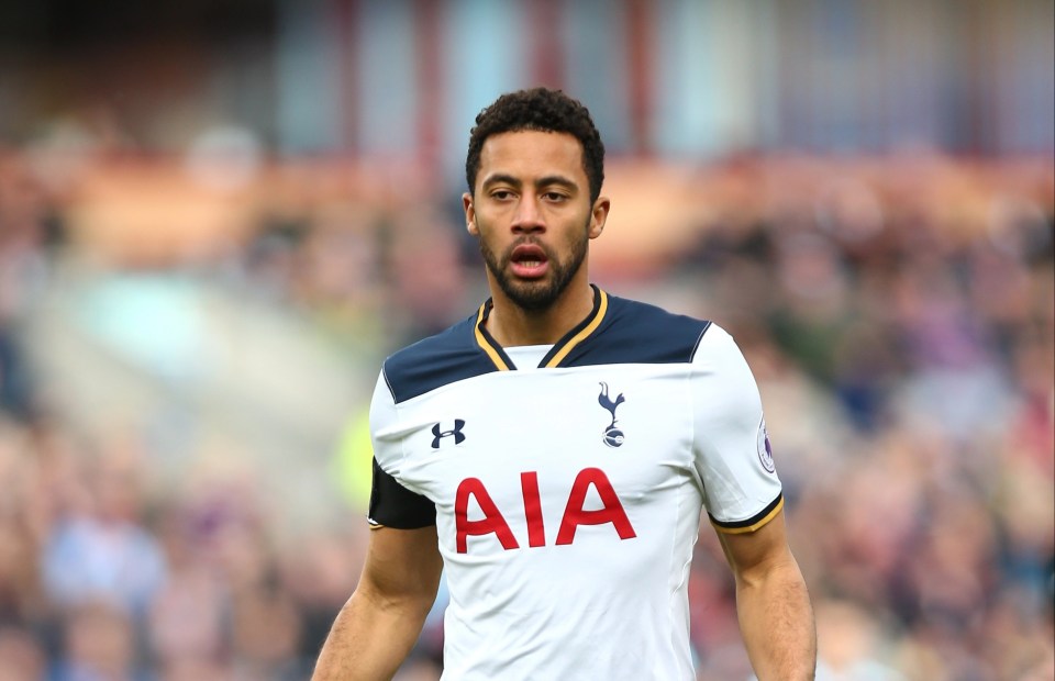 Mousa Dembele played for Tottenham and Fulham in the Premier League