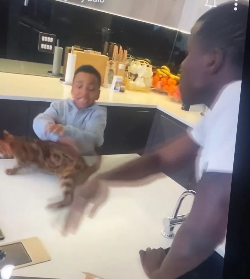 West Ham man Zouma was filmed kicking and slapping his pets