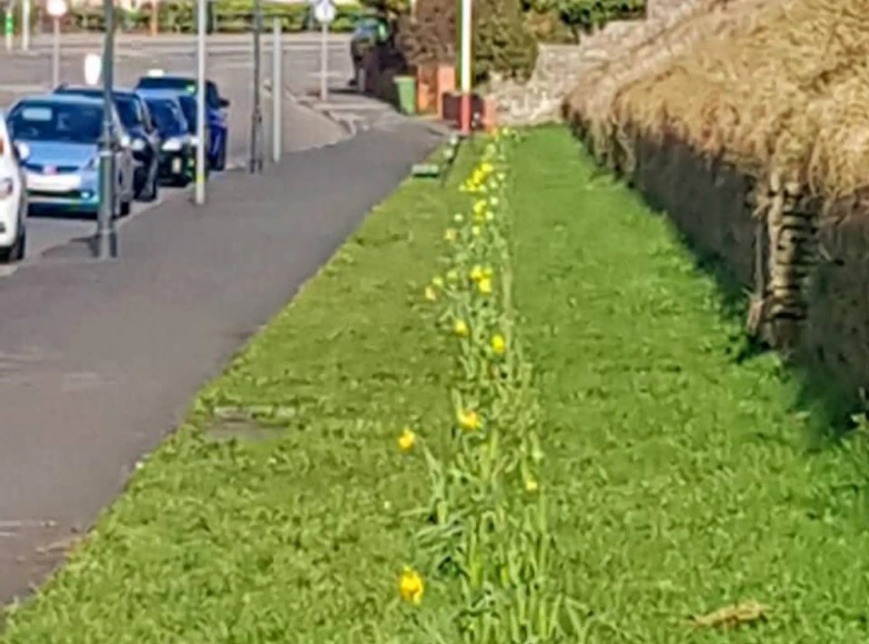Sefton Council admitted it can 'understand the disappointment'