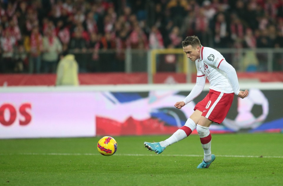 Napoli's Piotr Zielinski was also on the score sheet for the hosts