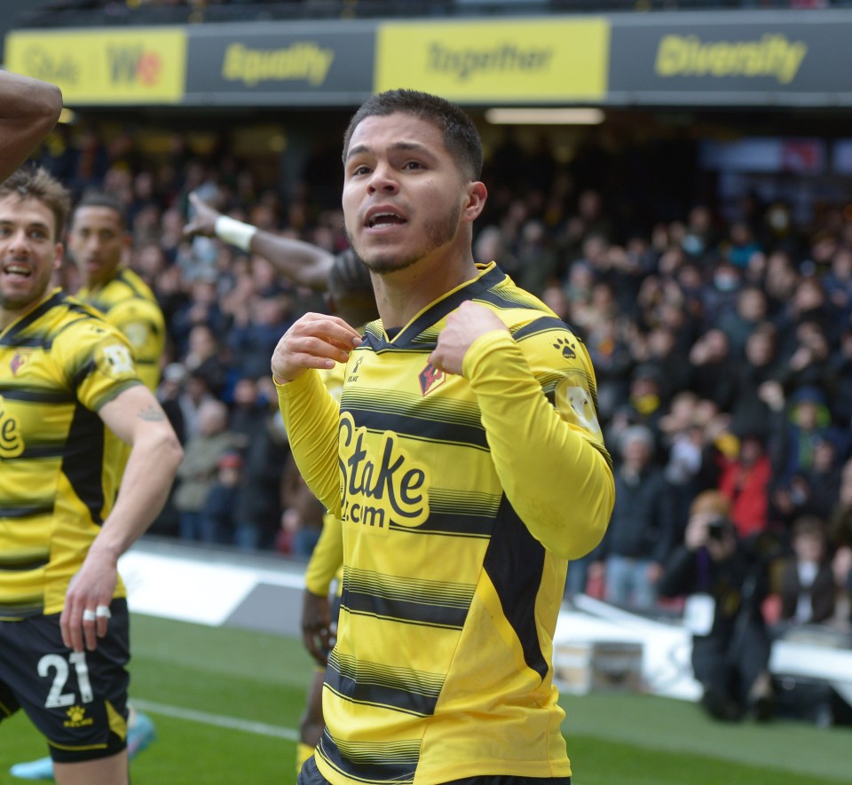 Cucho Hernandez celebrates levelling for Watford