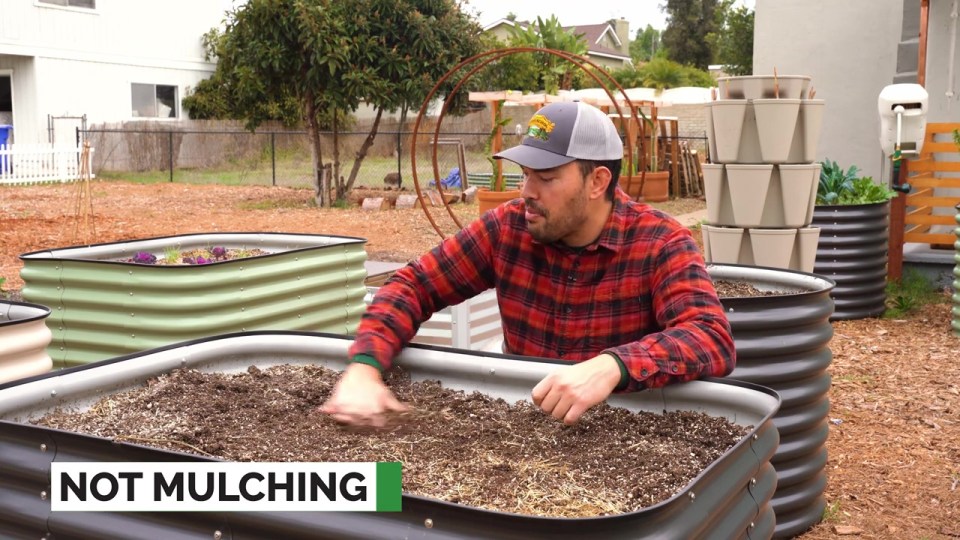 Adding mulch can make a massive difference to your plants