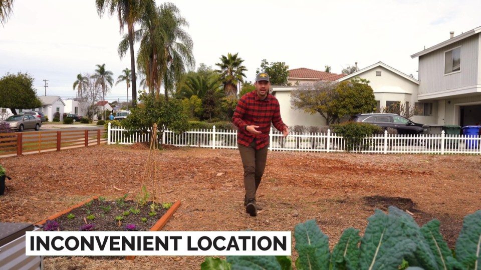 Your plants should be easy to access