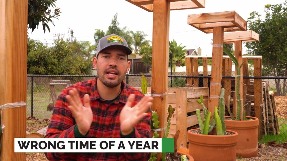 Check what grows best in which season