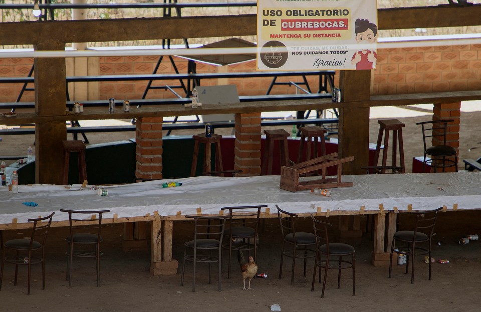 Twenty people were killed while attending the illegal cockfighting event