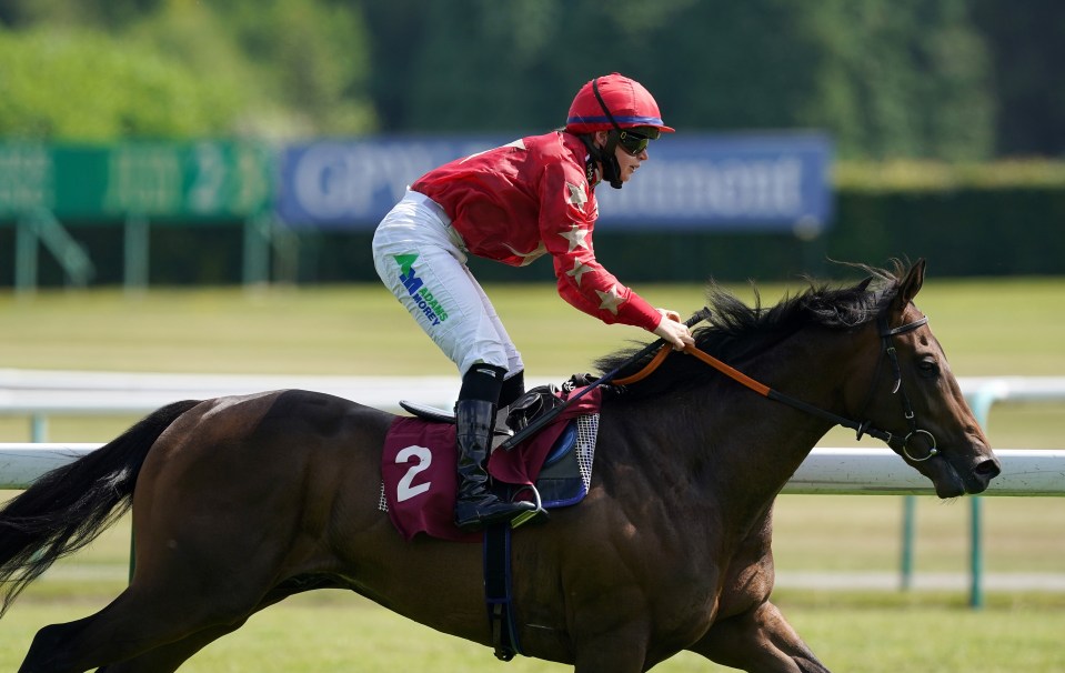 Mr McCann has been a revelation on the Flat and could run in the Epsom Derby