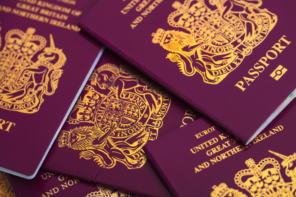 Renew your passport now if you have a summer holiday booked, the government has warned