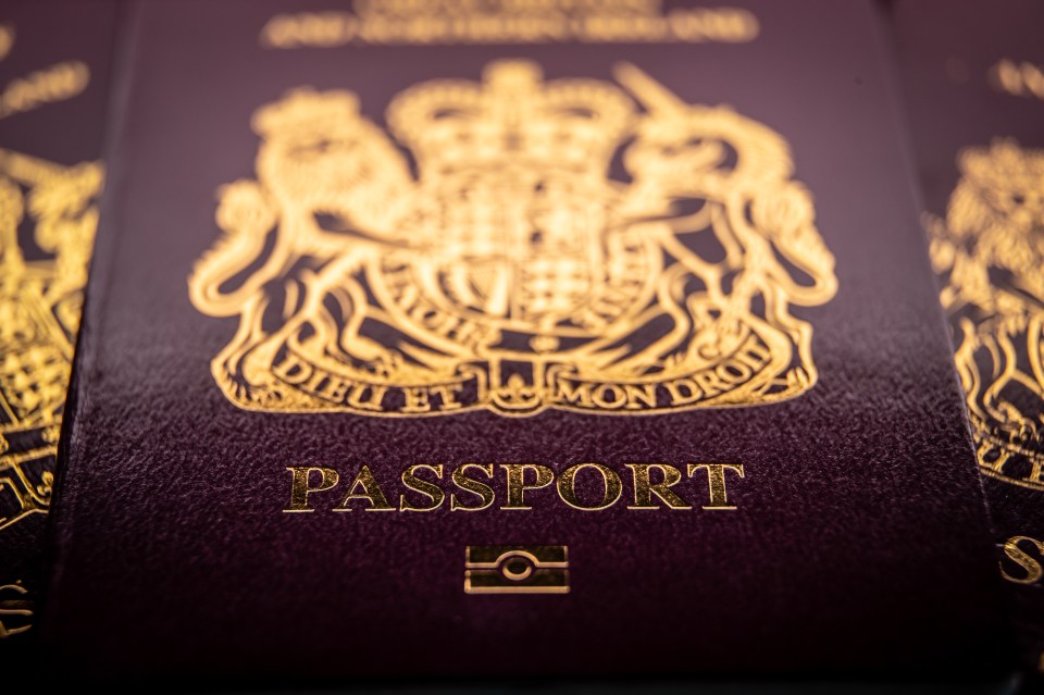 Millions of UK passports expired during the pandemic