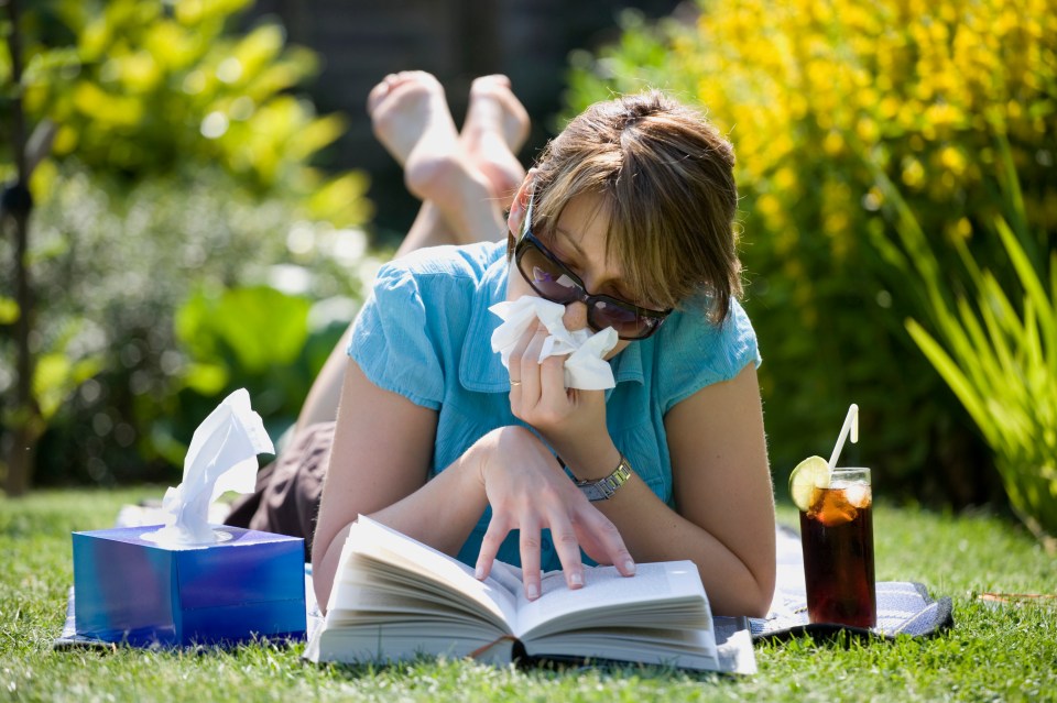 Brits with hay fever dread summer due to their symptoms