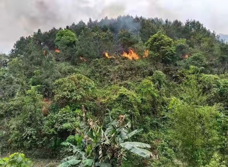 All 132 people on board were killed in the horror crash