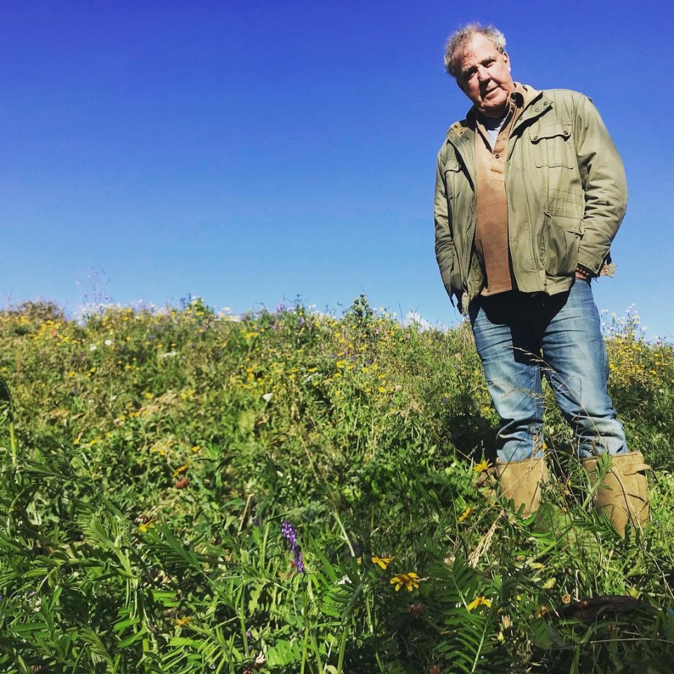 Jeremy Clarkson met Michael Gove this week to discuss countryside planning nightmares