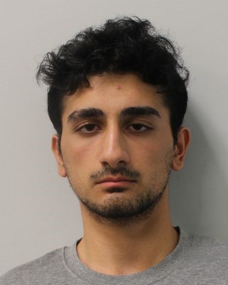 Danyal Hussein was sentenced to life in prison for killing Bibaa and Nicole