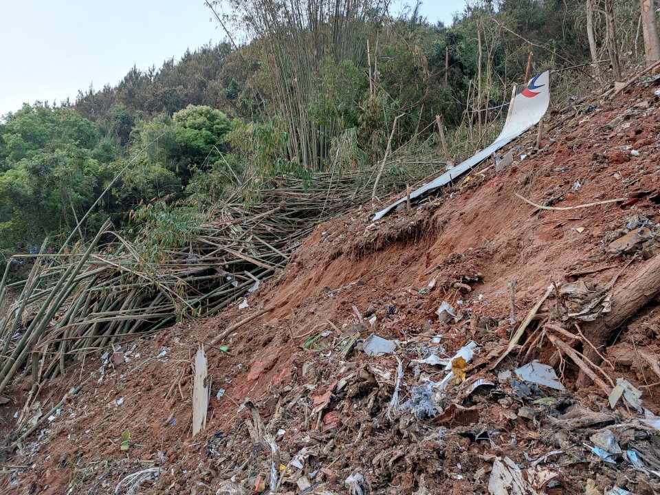 The jet may have been intentionally downed by someone in the cockpit, data suggests