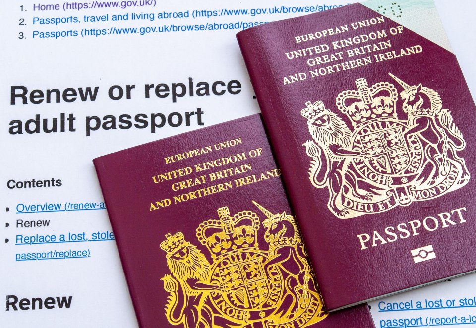 Millions of applications has led to a huge delay in passports being renewed - and many families will miss out