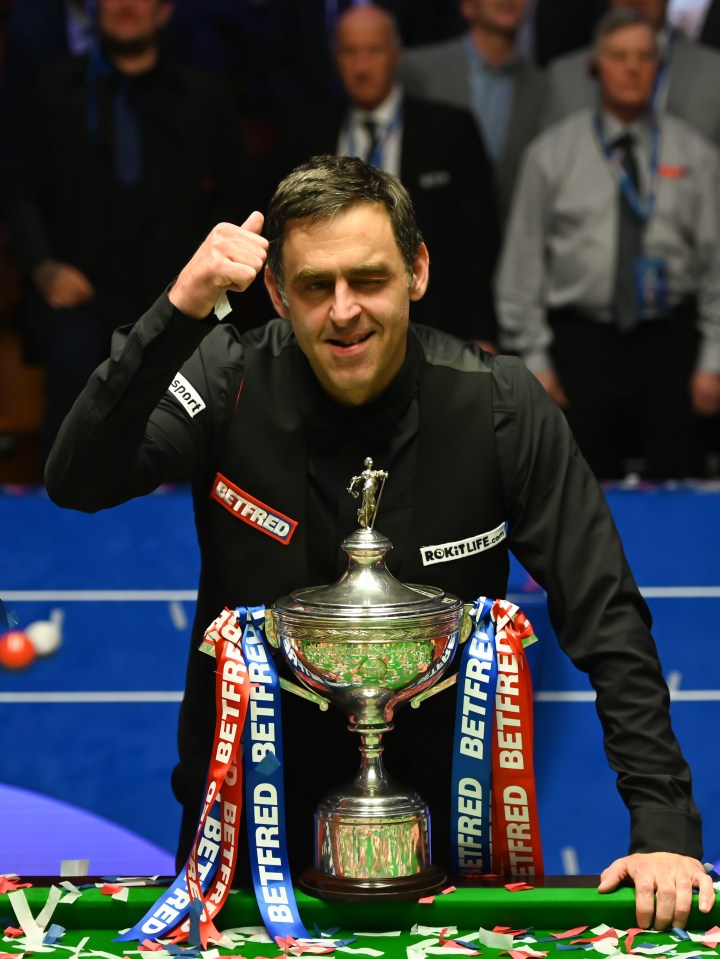World Snooker Champion Ronnie O'Sullivan has declared he plans to do some MMA training in the future