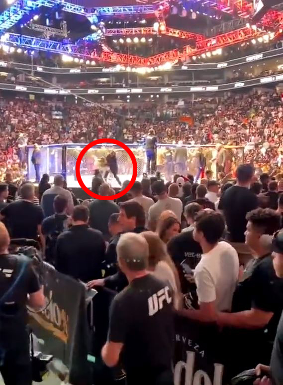 But she was sent flying by security seconds after stepping onto the octagon apron