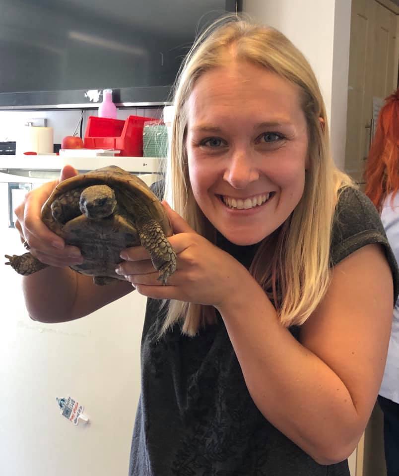 Rocky safe with Amy