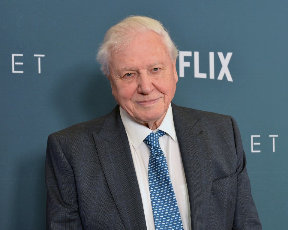 The Expert category features Sir David Attenborough and Prue Leith