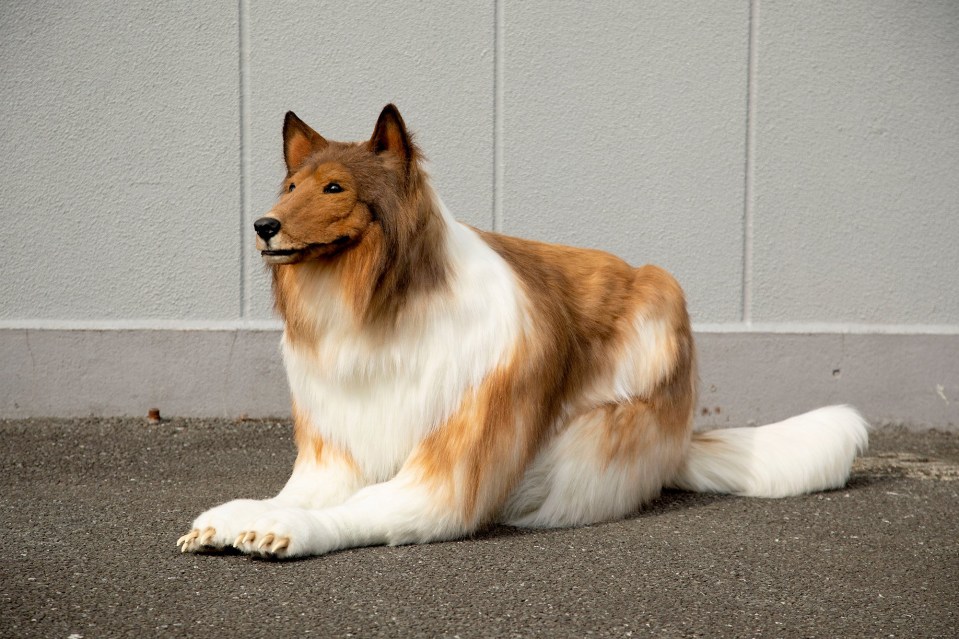An oddball dog lover in Japan paid two million yen for the fake fur suit, which took 40 days to make