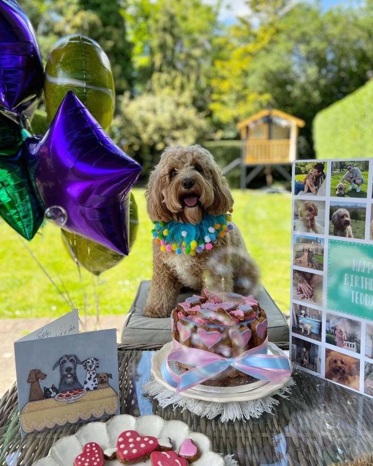 Kelly celebrated Teddy's second birthday in her amazing garden earlier this month