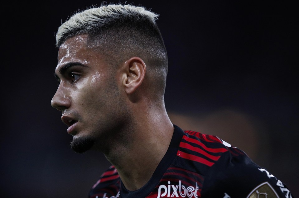 Andreas Pereira has been told he is part of Manchester United boss Erik ten Hag's plans