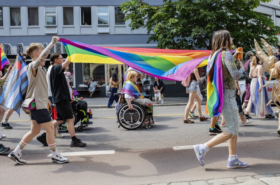 Hundreds of people gathered in Grønlandspark