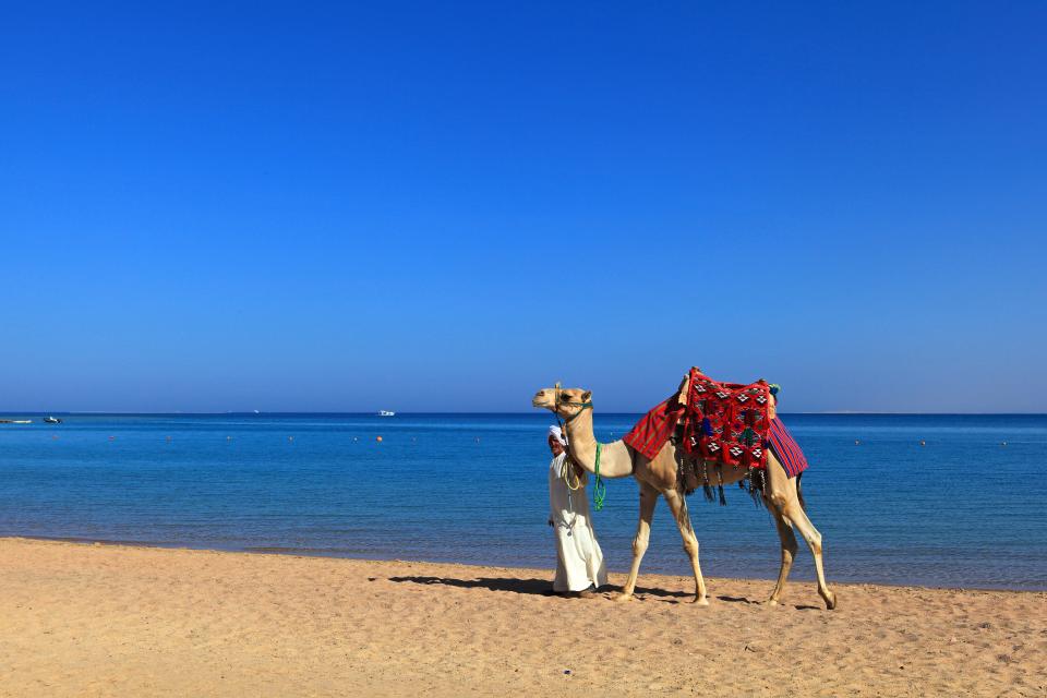 Egypt has scrapped all Covid entry rules
