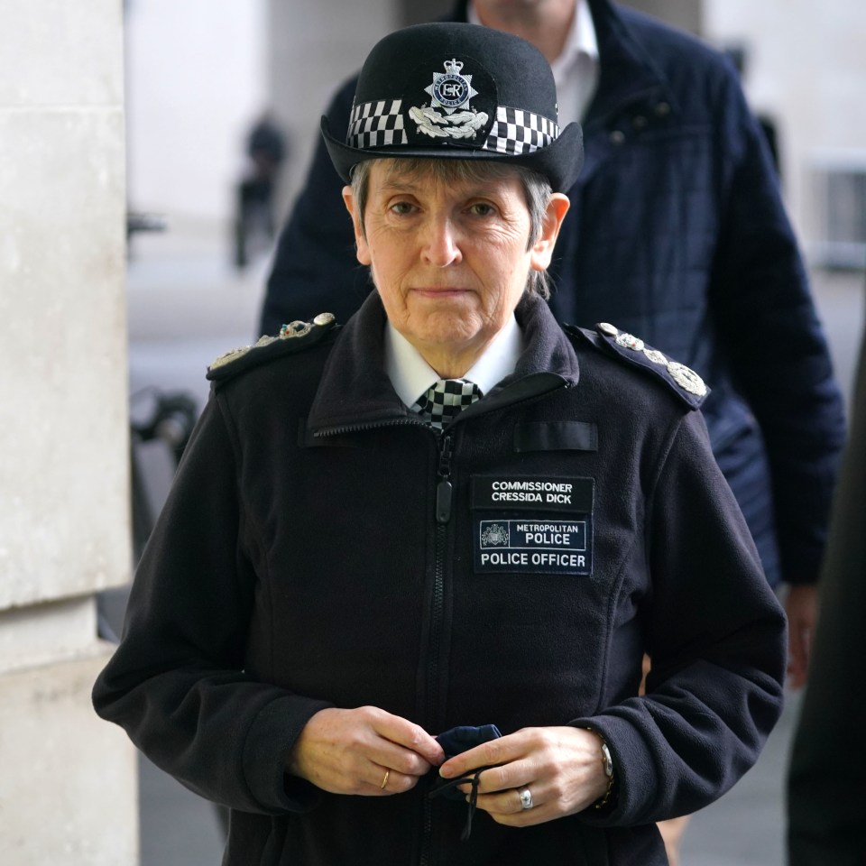 Dame Cressida Dick left the force in February