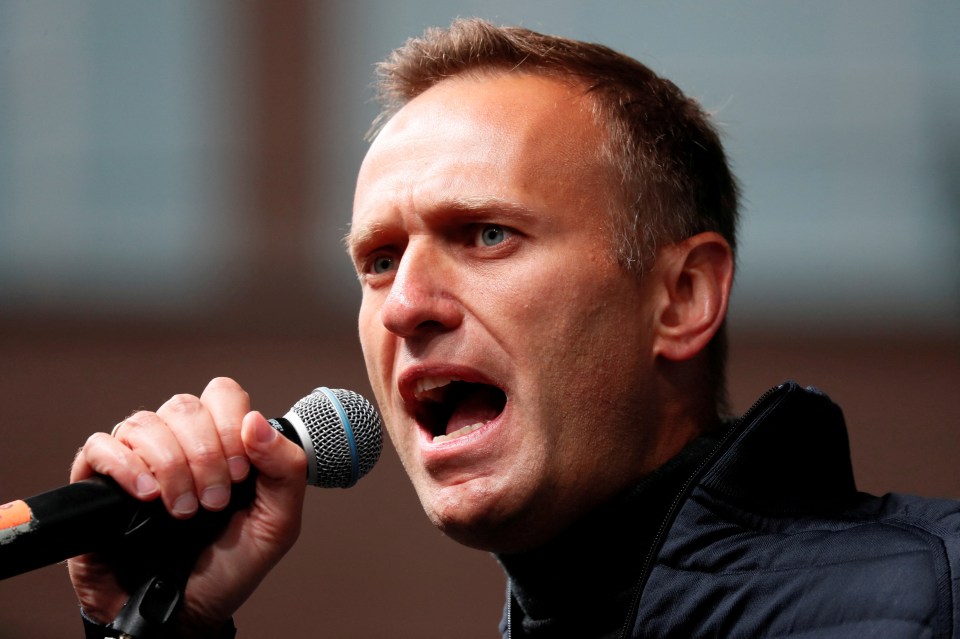 Experts say that Navalny's long prison sentence seeks to silence remaining government critics