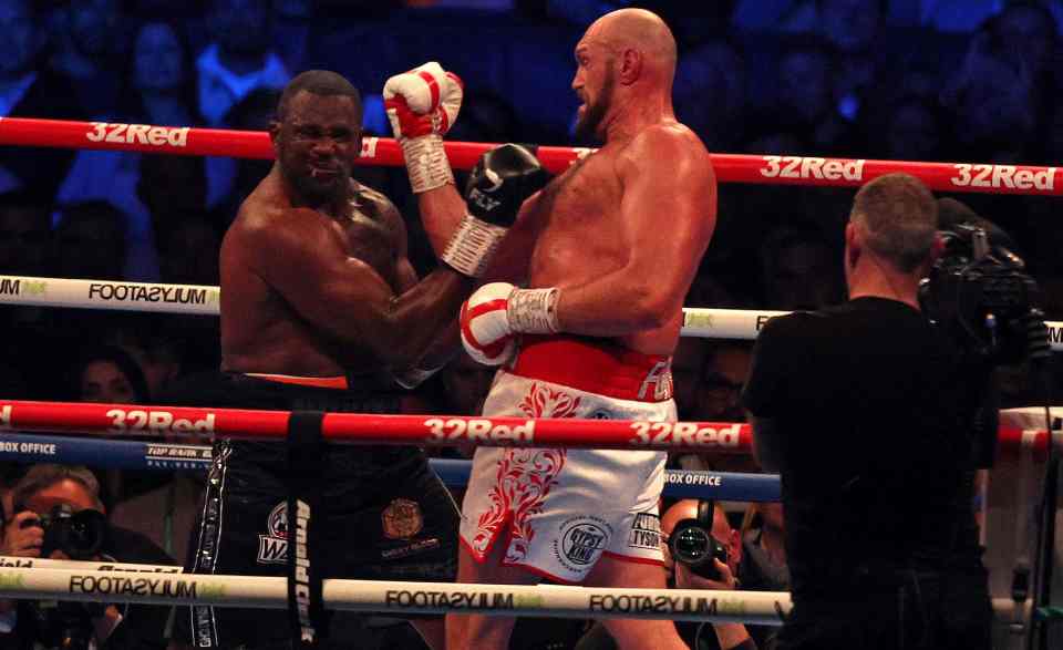 Dillian Whyte was knocked out by Tyson Fury