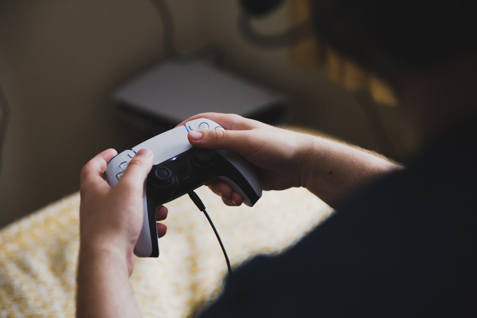 Sony's PlayStation Network has rules that players must follow