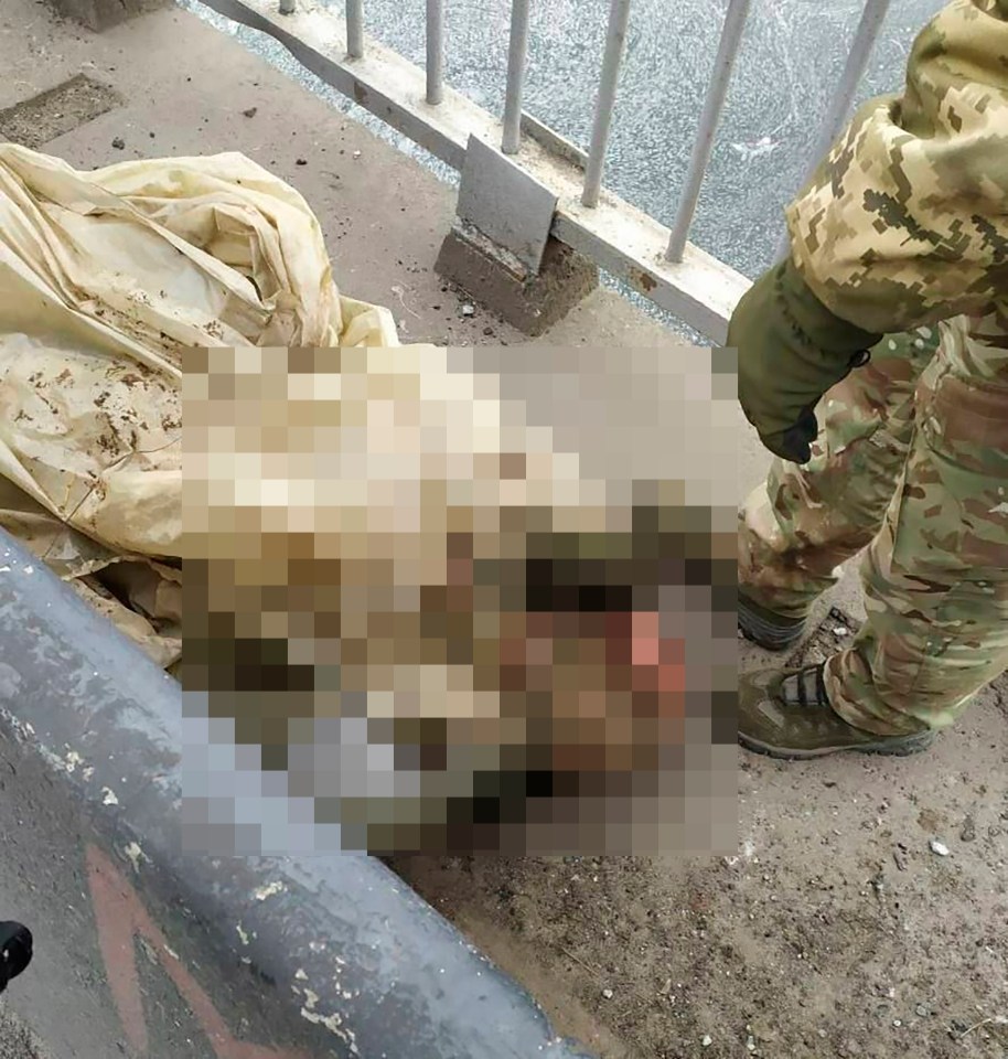 Ukraine issued a picture claiming to be Major-General Roman Kutuzov