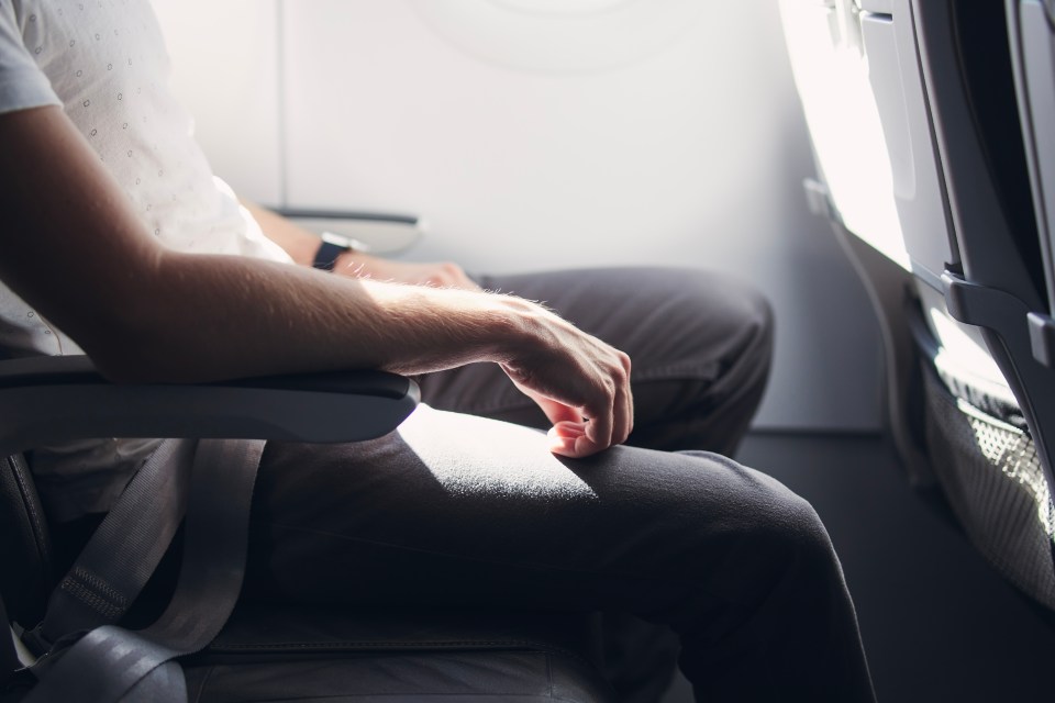 Social media users were divided over what was reasonable on a plane journey