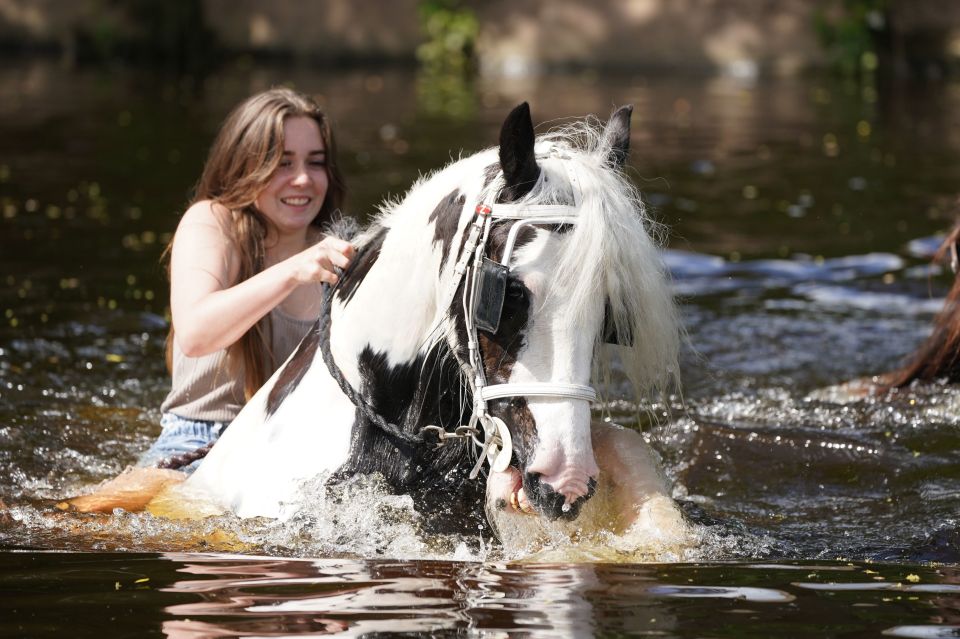 A woman is all smiles as she takes her horse for a cooling soak