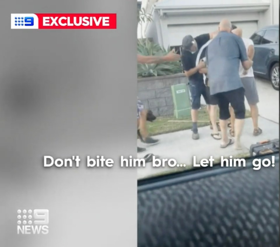Bystanders battled to prise the pair apart on a suburban street in Queensland