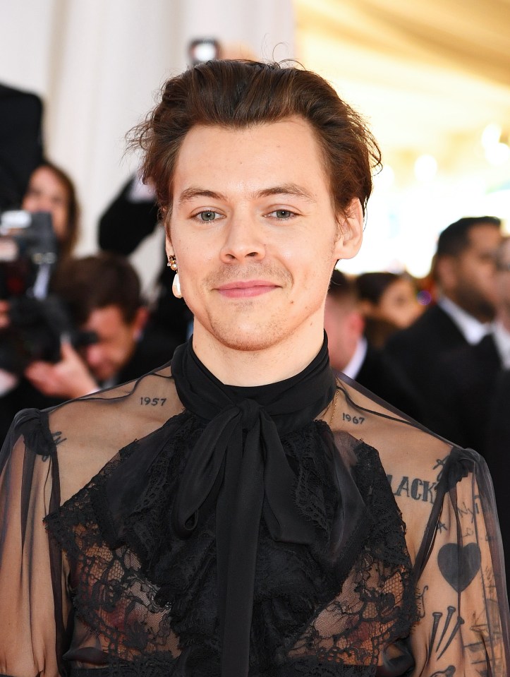 A man convicted of stalking Harry Styles has admitted going into the star's home - but denies assaulting a woman and damaging a plant pot belonging to the singer