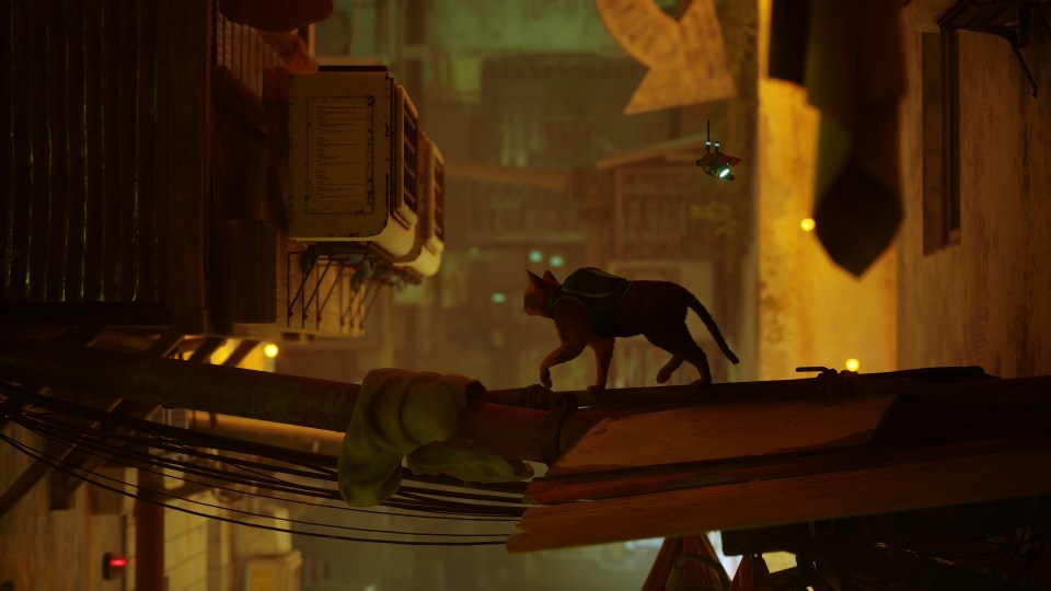 Play as a cat throughout Stray