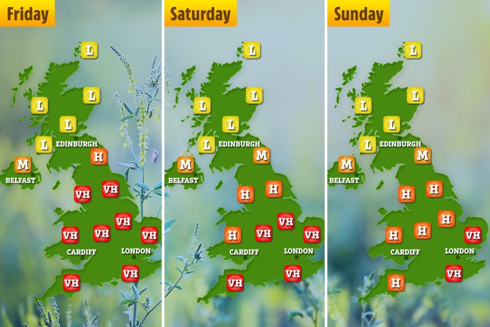 The charts above show the pollen count from today, through to Saturday