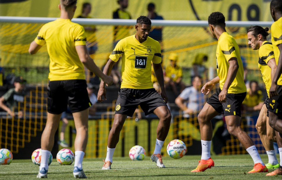 Borussia Dortmund's Sebastien Haller discovered a testicular tumour
