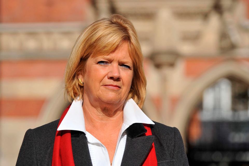 Baroness Hallett's inquiry into lockdown could drag on for years