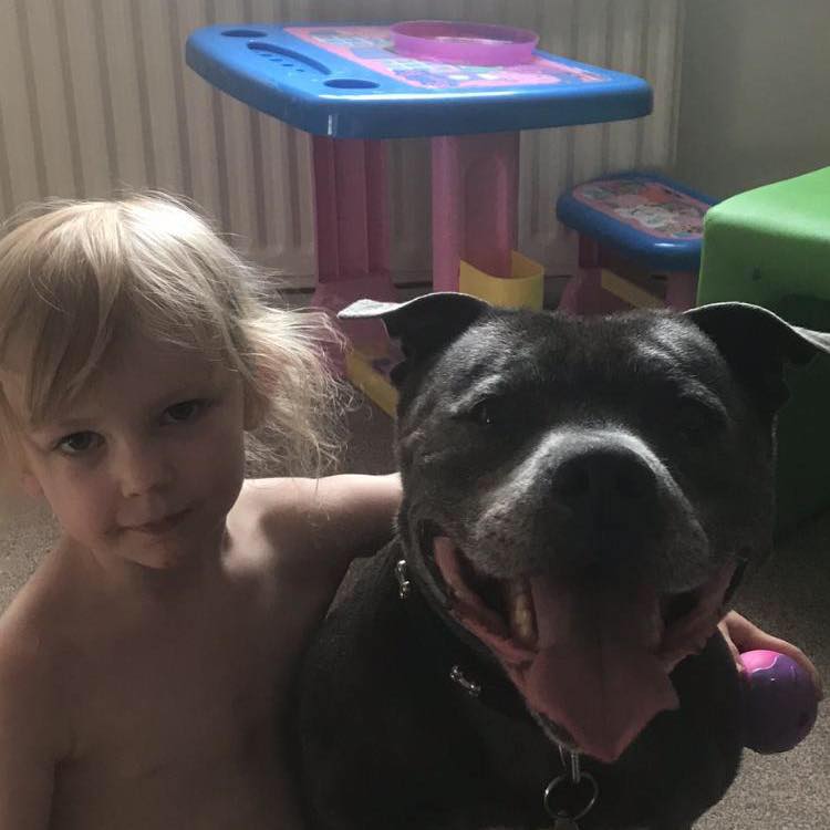 Needham also killed the family dog