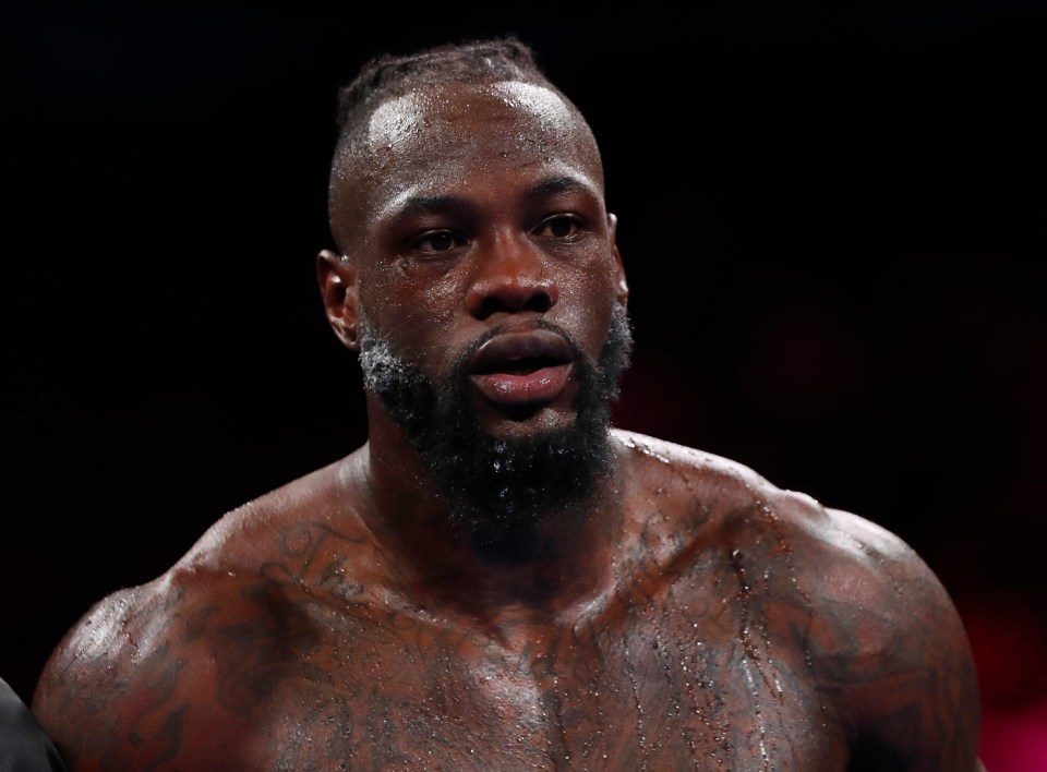 Deontay Wilder was called out by Derek Chisora