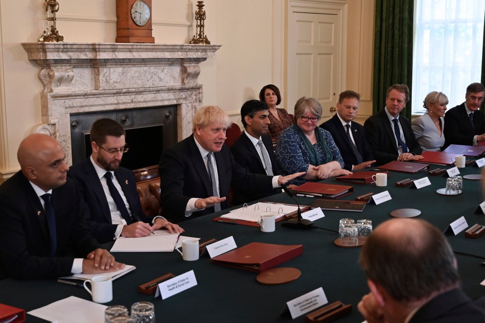 In a blistering resignation letter, Sunak said: 'The public rightly expects government to be conducted properly, competently and seriously'