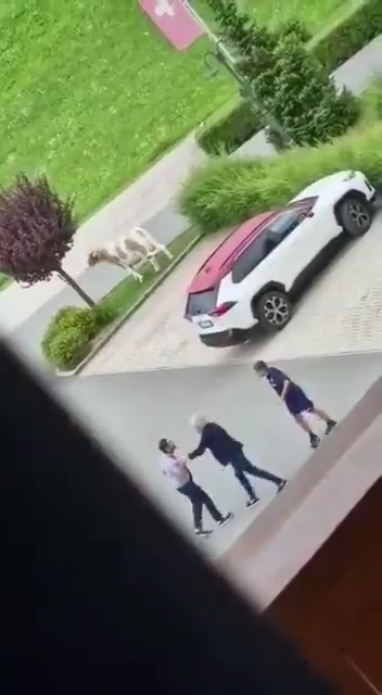 The duo nearly came to blows on their side's pre-season training camp in Austria