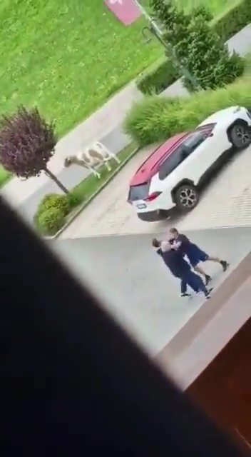 Torino's manager Ivan Juric and sporting director Davide Vagnati were filmed fighting in a car park during pre-season