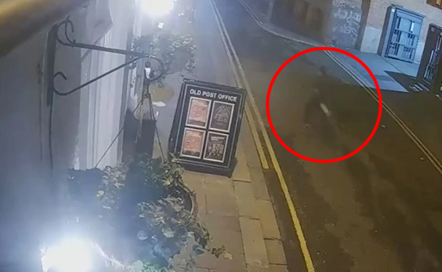 The killer runs off shortly followed by a group of others after the stabbing