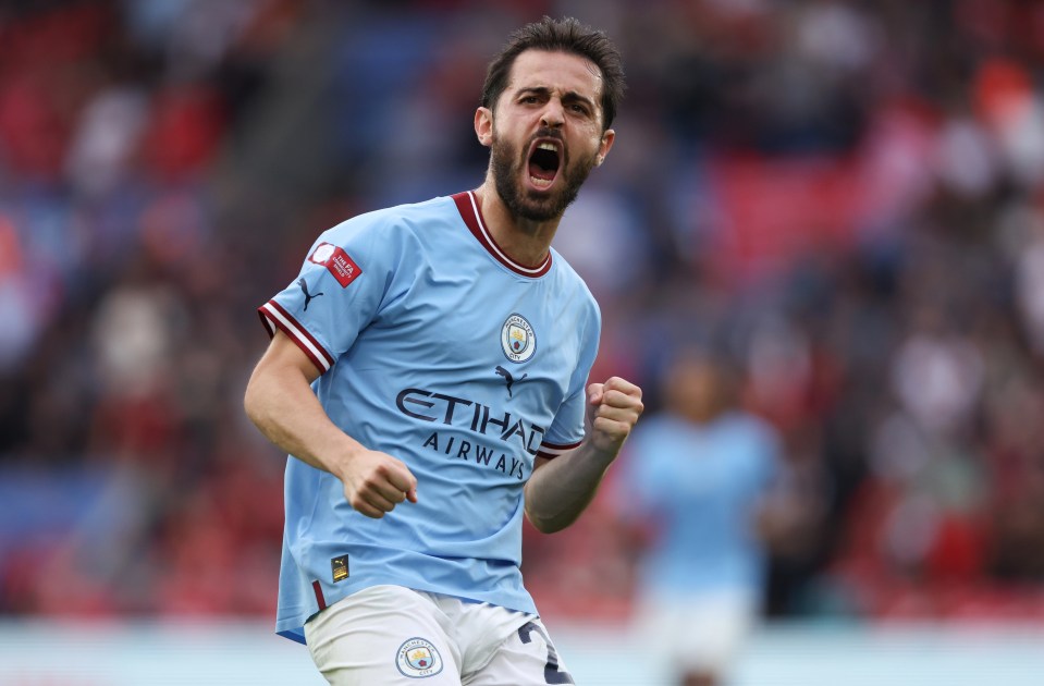 Silva was in action as Man City lost 3-1 to Liverpool in the Community Shield