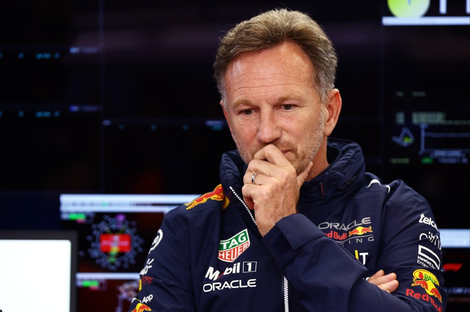 Team boss Christian Horner saw Red Bull win their first Driver's Championship since 2013 last year